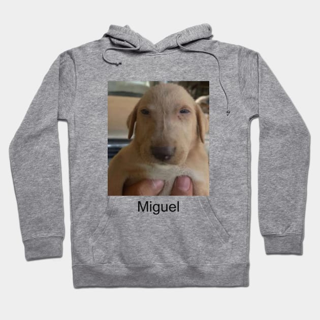 Miguel meme shitpost unisex Hoodie by Hamza Froug